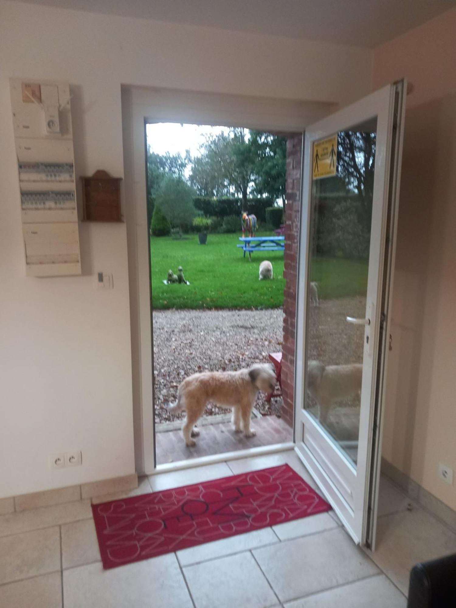 Maison De Vacances Clos Des Hogues Entre Etretat Et Fecamp Saint-Léonard Екстериор снимка