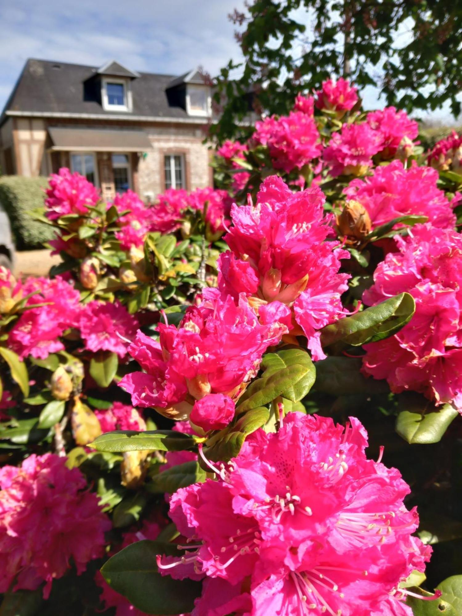 Maison De Vacances Clos Des Hogues Entre Etretat Et Fecamp Saint-Léonard Екстериор снимка